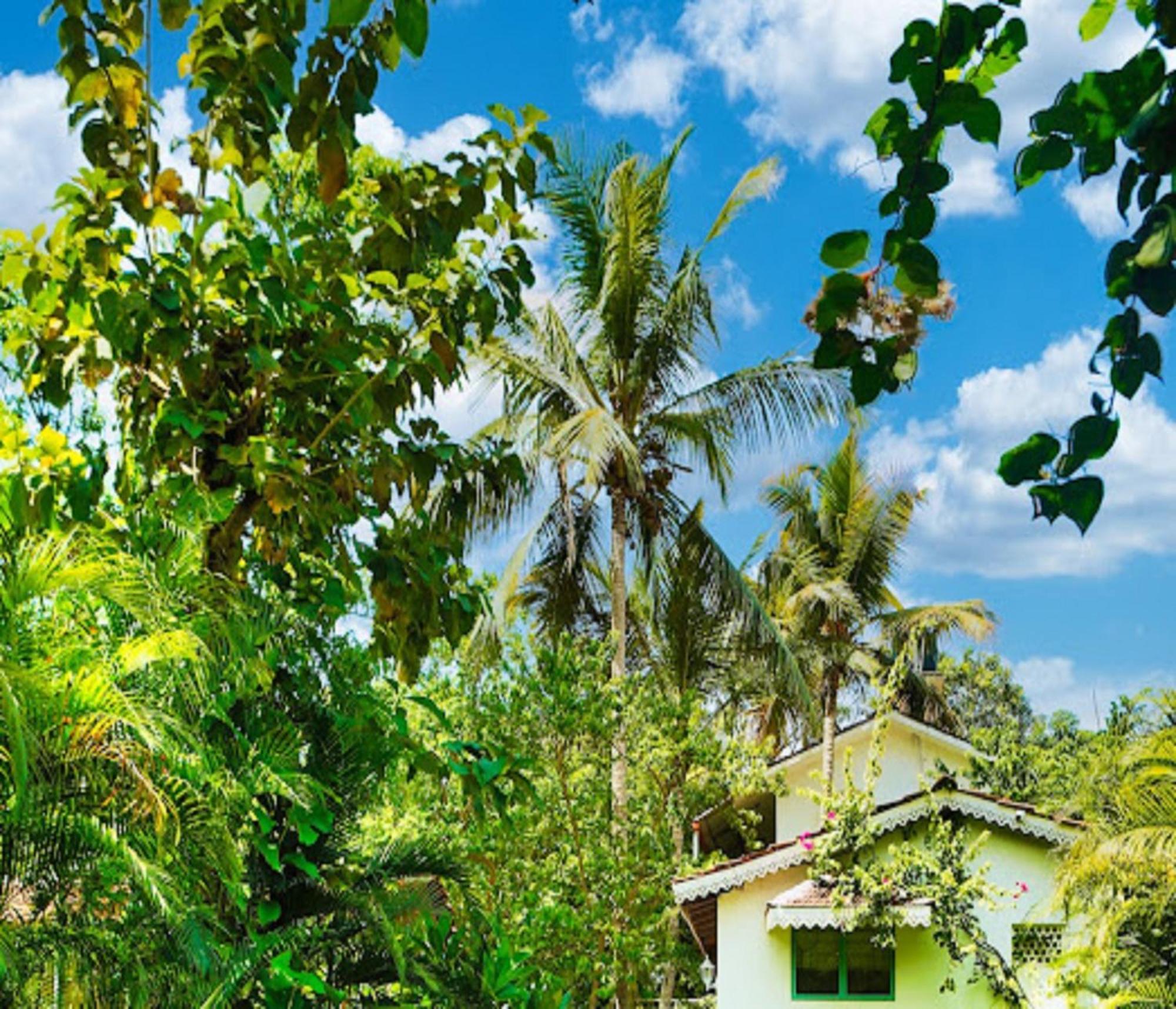 Lar Amorosa Boutique Hotel - Goa Calangute Buitenkant foto