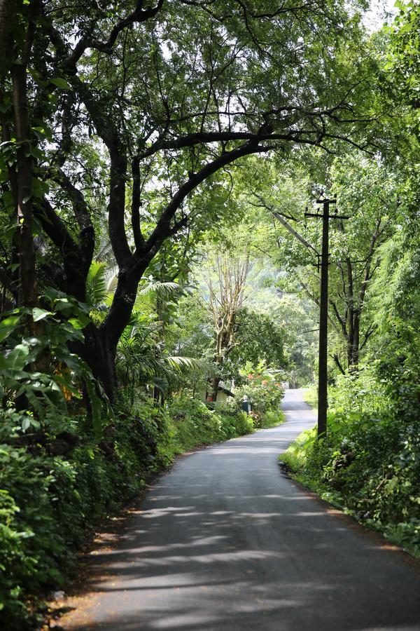 Lar Amorosa Calangute Buitenkant foto